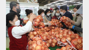 양파 한 망에 2천원 “싸다 싸”[청계천 옆 사진관]