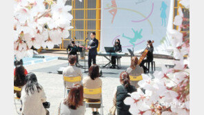 벚꽃 아래 열린 클래식 음악회