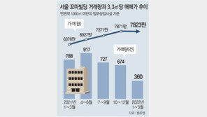 ‘甲물주’ 옛말… 꼬마빌딩 거래 1년새 반토막 