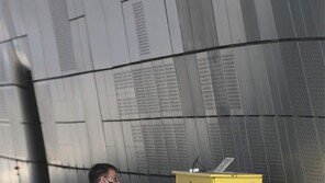 [고양이 눈]봄의 연주