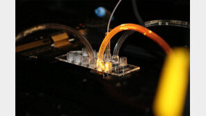 4만 개 초미세 실험실서 7분이면 “분석 끝”… 백신 개발 신기원 ‘활짝’