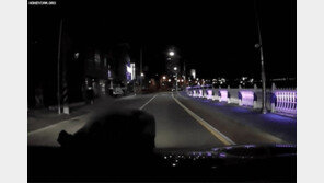 한밤 도로 뛰어든 남성, ‘쿵쿵쿵’ 보닛 박치기에 차주 멘붕