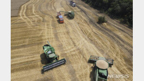 식량자급률 46%인데 곡물은 20% 수준…정부, 중장기 식량안보 강화