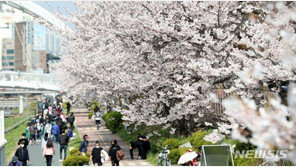 내일 낮 최고기온 29도…전국 맑은 봄 날씨