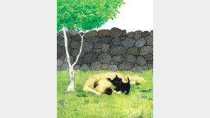 [그림책 한조각]척!