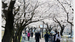 [날씨]토요일 낮 최고 29도…전국 맑은 봄 날씨