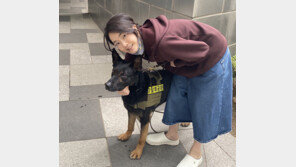 공개 전환된 ‘김건희 SNS’ 활발…“환경·동물 보호 필요”