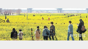 유채꽃밭 봄나들이