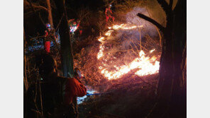 서산군 운산면 산불 22시간만에 주불 진화 완료