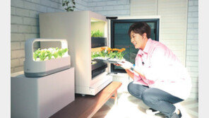 ‘방탈출 카페’ 방문한 골프 여제