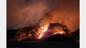 김 총리, 강원 양구 산불 긴급 지시…“조기 진화 최선”