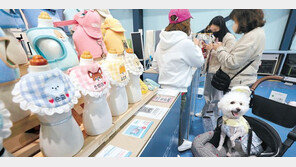 “우리 댕댕이는 뭘 좋아할까”