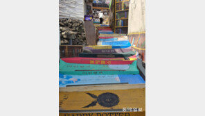 [고양이 눈]지식의 계단