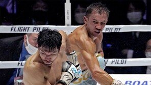 한국계 복싱스타 골롭킨, WBA 미들급 챔프 복귀