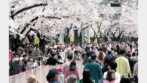 벚꽃과 함께 ‘위드 코로나’ 시동… 여의도 맛집, 대기 손님만 100명