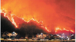 양구 ‘산불 3단계’… 강풍 타고 민가 코앞까지 확산