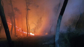 경북 영덕에서 산불…2시간25분만에 진화완료