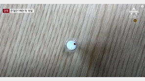 방바닥에서 자가검사 키트 조립…머리카락에 고춧가루도 묻어