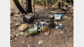 담배꽁초에 해송 80그루 불 타…제주서 산불낸 50대 입건