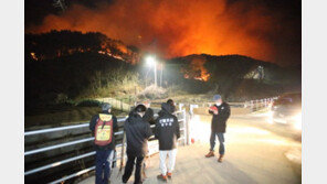 코앞까지 번진 시뻘건 불길…소화전 5개가 양구 전원마을 살렸다