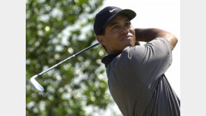 우즈 ‘타이거 슬램’ 아이언 세트, 골프 경매 역대 최고가 기록