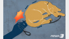 “내 몸에 대소변을 봐?” 반려견 죽게 한 견주 벌금 300만원