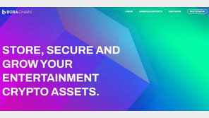 카카오게임즈표 P2E 게임 시동 걸었다. 보라 백서 및 브랜드사이트 공개