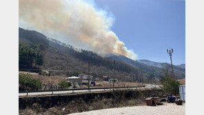 정선 산불 6시간30여분 만에 진화…산림 4㏊ 소실