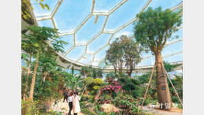 부천호수식물원 ‘수피아’ 임시 개원