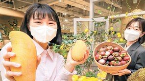 “태국 제철 과일 만나보세요”