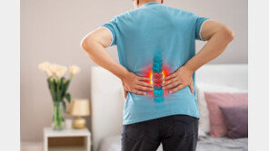 회복 빠른 추간공확장술… 여유없는 직장인에 안성맞춤