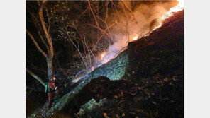 사흘째 접어든 양구산불 95% 진화…헬기 30대 투입 총력전