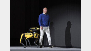 미국行 정의선…전기차 부지 낙점하나