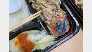 軍 격리자 도시락에‘ 신문지 덩어리’…“모두가 그걸 먹었다”