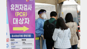 ‘코로나 3번’ 걸린 사람도 37명…국내 재감염 2만6239명