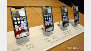 애플, 인도서 아이폰13 생산…공급망 늘려 中 의존↓