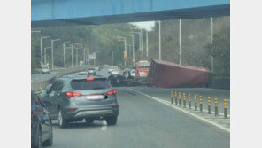 컨테이너가 눈앞에 ‘쾅’…고가도로 트레일러 추락 사고