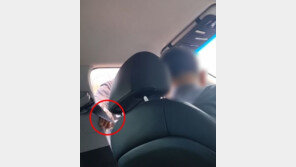 “야 운전 똑바로해” 택시에 폭언한 벤츠남…승객은 “아이 있으니 제발”