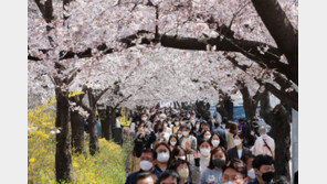 대학축제 재개·명소엔 상춘객…‘코로나 겨울’ 가고 일상회복 ‘봄기운’ 만연