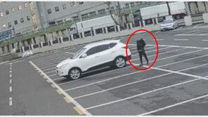 전국 돌며 차 훔친 20대 커플, 남친은 시동걸고 여친은 망봤다