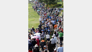 내일부터 골프 갤러리 무제한으로 입장한다