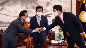 여야 원내대표 주먹인사