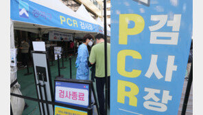 코로나 변이가 왜 이리 많을까?…XL변이, 유입 아닌 국내 발생 가능성