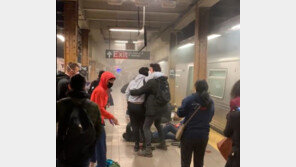 연막탄 터트리고 총기난사…출근길 뉴욕지하철 29명 부상