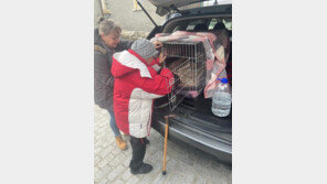 피란길서 헤어진 우크라 반려견…2900㎞ 여행해 주인과 상봉
