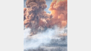 주홍빛 ‘독구름’ 덮인 우크라 비명…“러軍, 또 질산탱크 터트렸다”