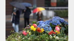[날씨]목요일 전국 곳곳 봄비…하늘은 대체로 흐림
