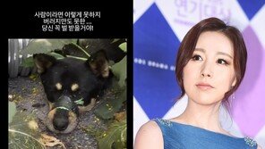 간미연, 동물학대에 분노 “버러지만도 못한…벌 받을 것”