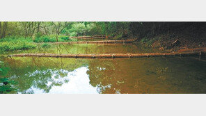 무등산국립공원사무소, 자연 생태계 복원에 앞장 선다