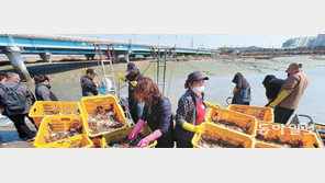 분주한 소래포구